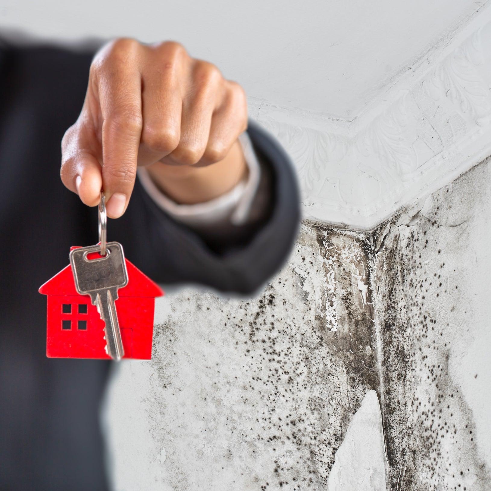 Awaab’s Law Part 1: What it means for Landlords.