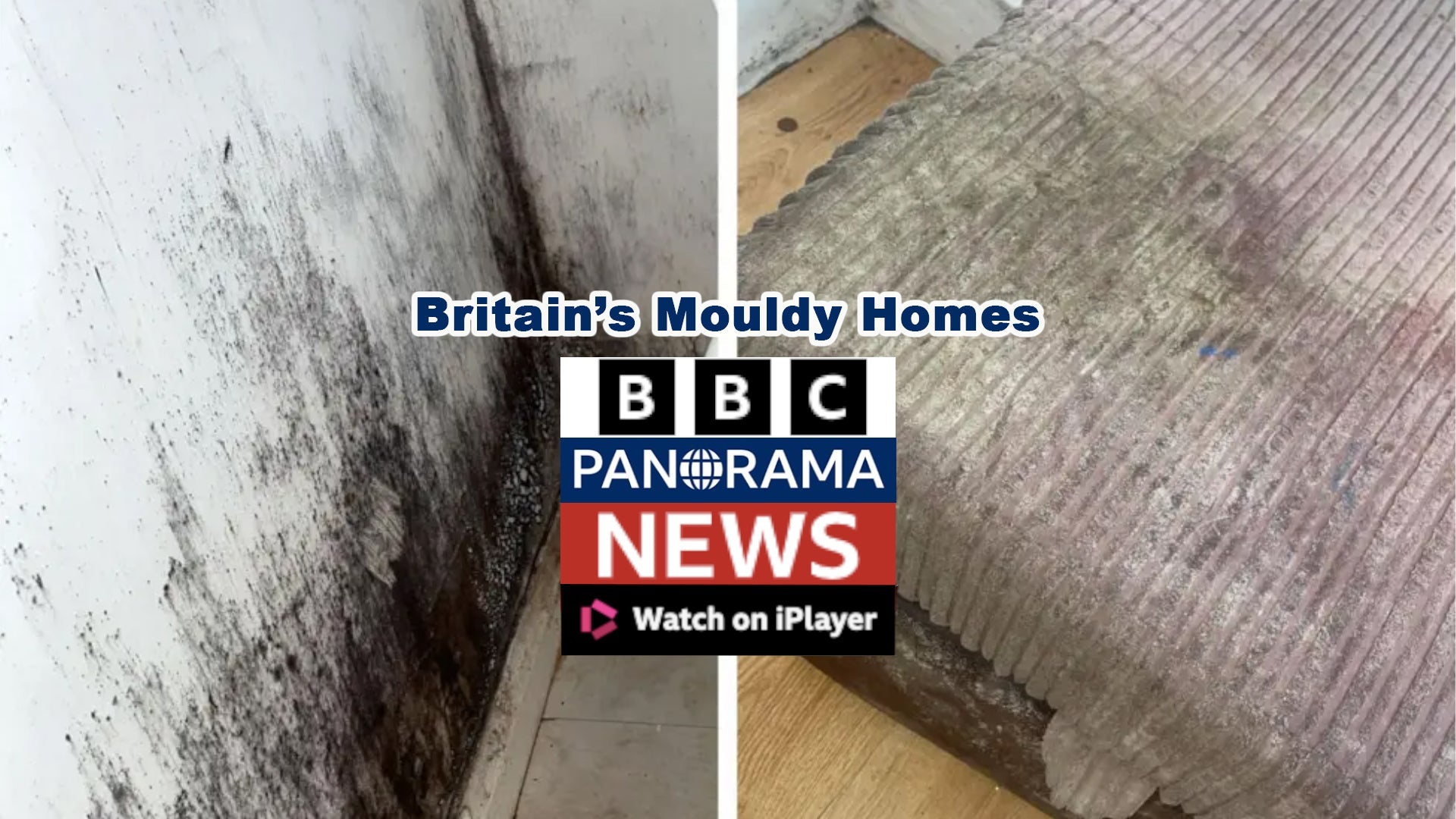 Damp and Mould still making the headlines ahead of Awaab’s Law’s October implementation