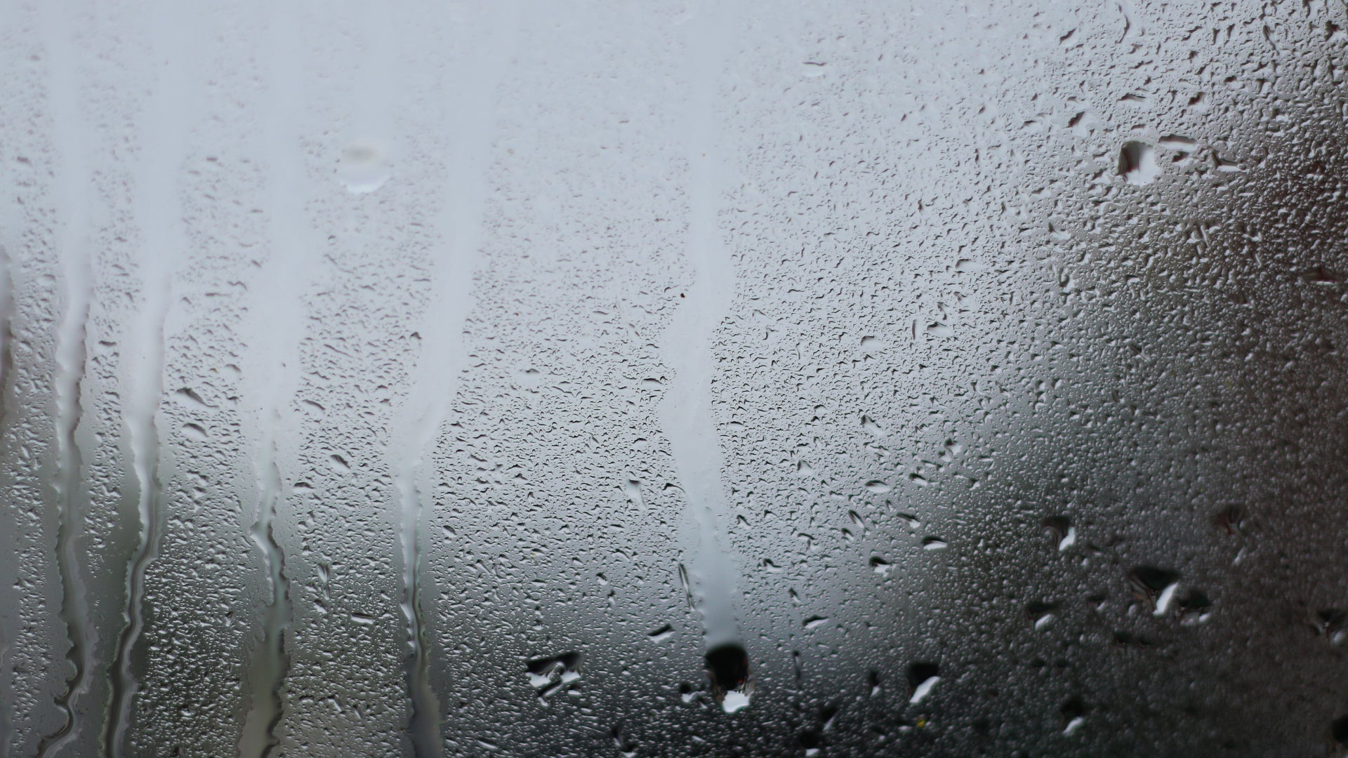 Humidistat Extractor Fans: What You Need to Know