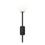 Astro 1429006 Tacoma Single Grande Matt Black