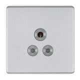 BG FBS29G Screwless Flat Plate Stainless Steel Single Round Pin Unswitched 5A Socket