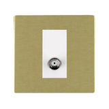 Hamilton 82CSATNW CFX Satin Brass non-isolated satellite socket