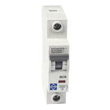 Lewden 10amp MCB Type B