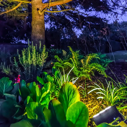 Spike Lights & Garden Spot Lights