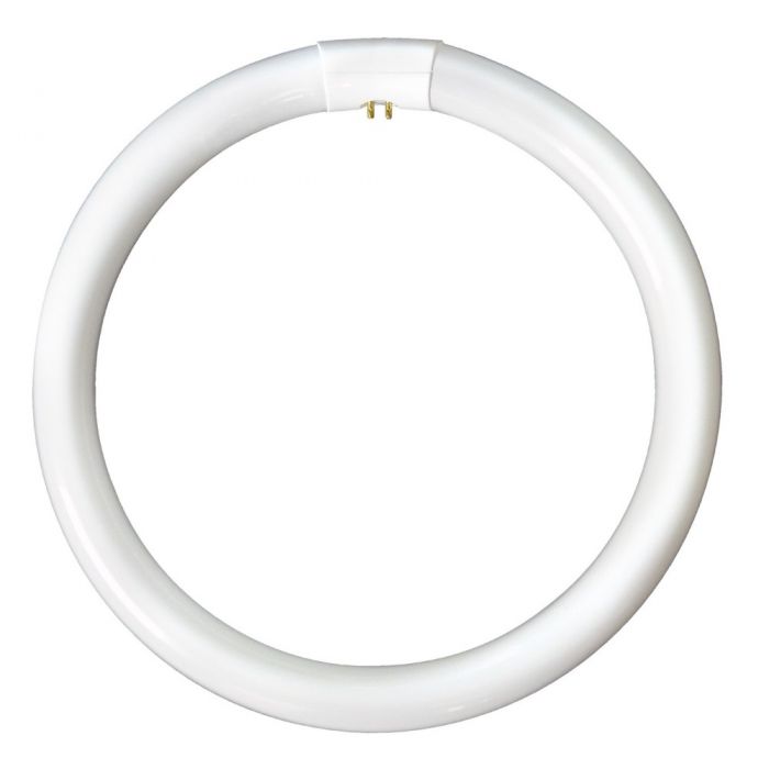 BELL 04196 40W T9 Triphosphor Circular Tube - 4 Pin, 4100K